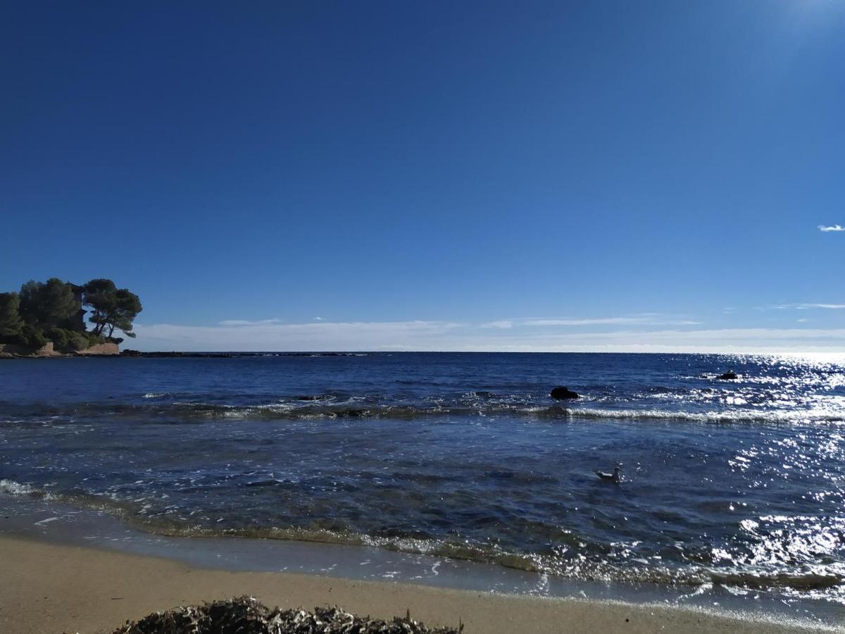 Saint-Raphaël Studio Paradise Entre Mer Et Pins מראה חיצוני תמונה